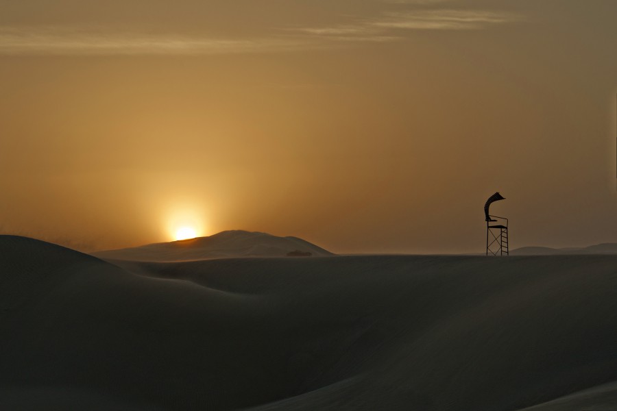 Veronica Elena Photographie Nature