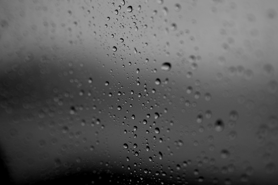 Veronica Elena Photographie Personnel