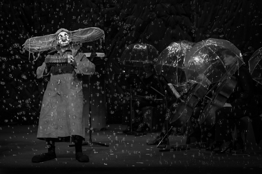 Veronica Elena Photographie Musique