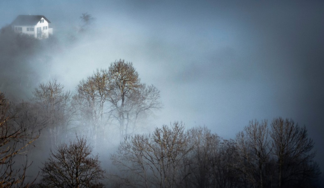 Veronica Elena Photographie Nature