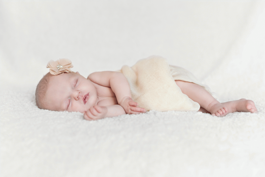 Veronica Elena Photographie