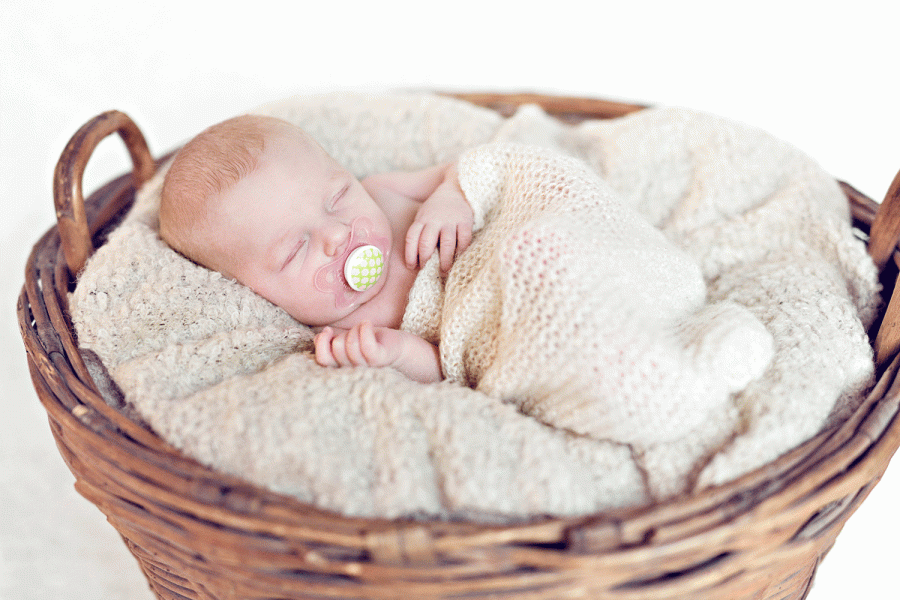 Veronica Elena Photographie