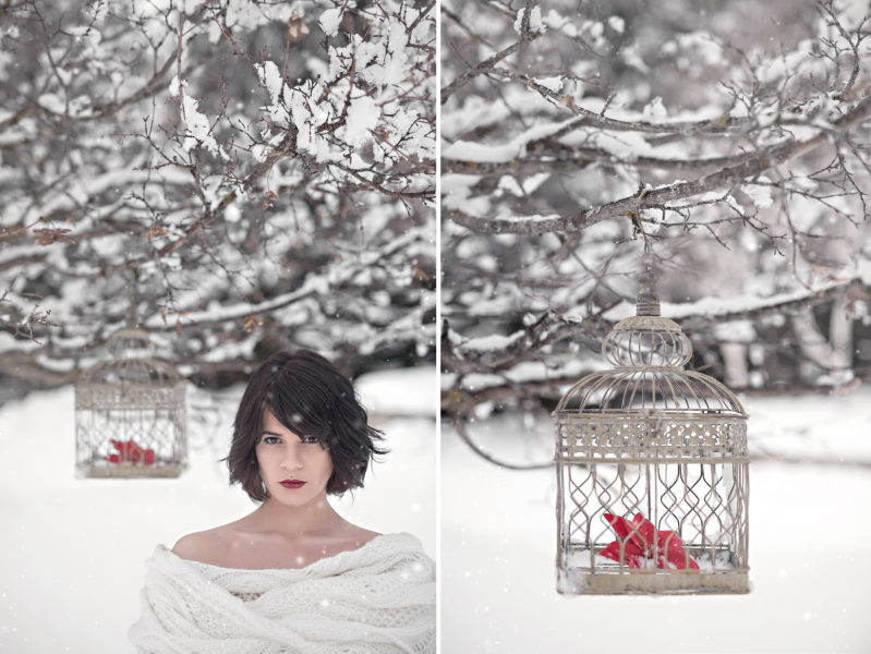 Veronica Elena Photographie Photos