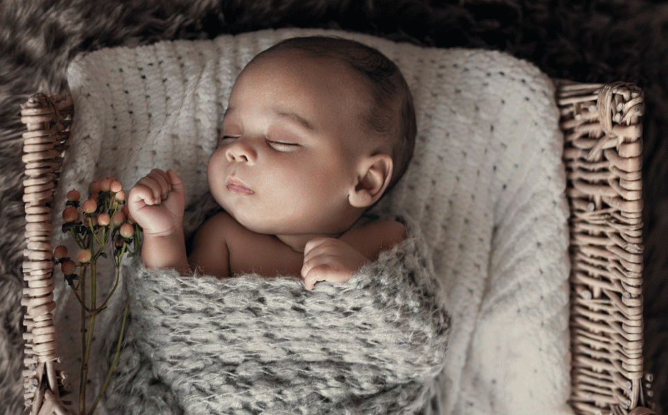 Veronica Elena Photographie